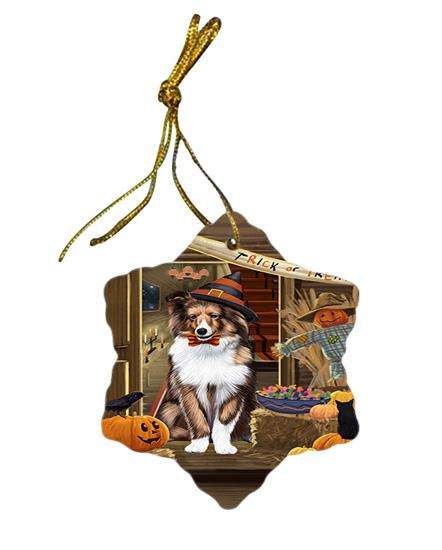 Enter at Own Risk Trick or Treat Halloween Shetland Sheepdog Star Porcelain Ornament SPOR53274