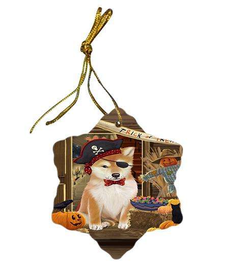Enter at Own Risk Trick or Treat Halloween Shiba Inu Dog Star Porcelain Ornament SPOR53277