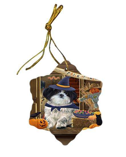 Enter at Own Risk Trick or Treat Halloween Shih Tzu Dog Star Porcelain Ornament SPOR53280