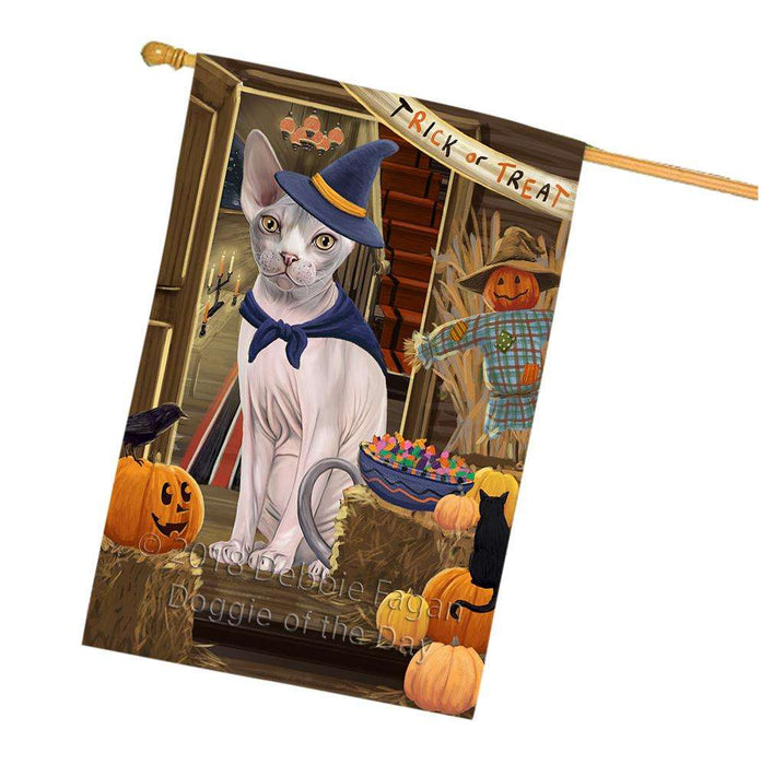 Enter at Own Risk Trick or Treat Halloween Sphynx Cat House Flag FLG53502