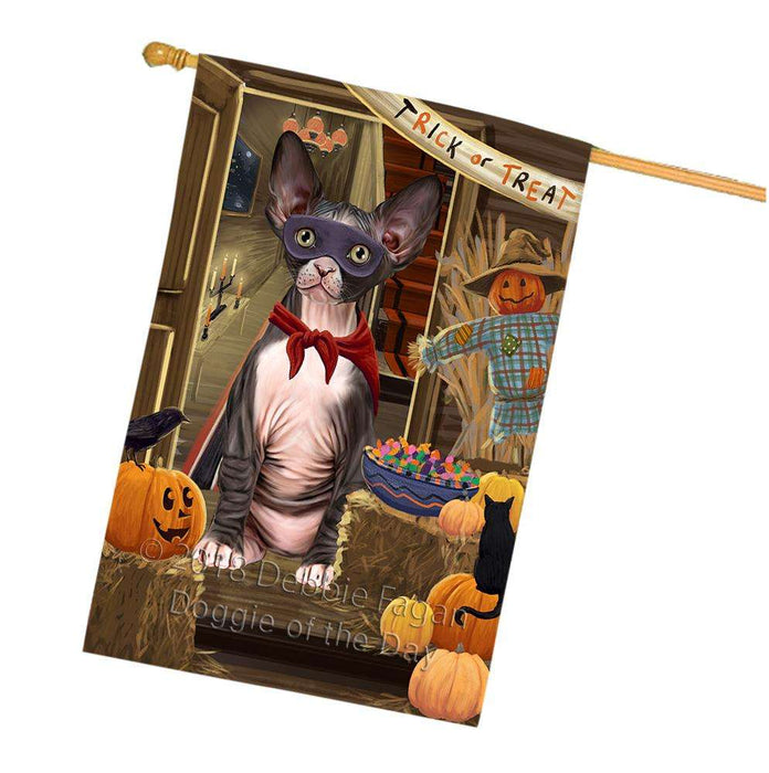 Enter at Own Risk Trick or Treat Halloween Sphynx Cat House Flag FLG53503