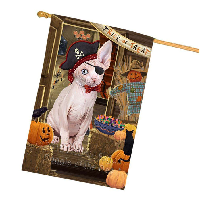 Enter at Own Risk Trick or Treat Halloween Sphynx Cat House Flag FLG53504