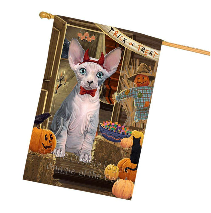 Enter at Own Risk Trick or Treat Halloween Sphynx Cat House Flag FLG53505