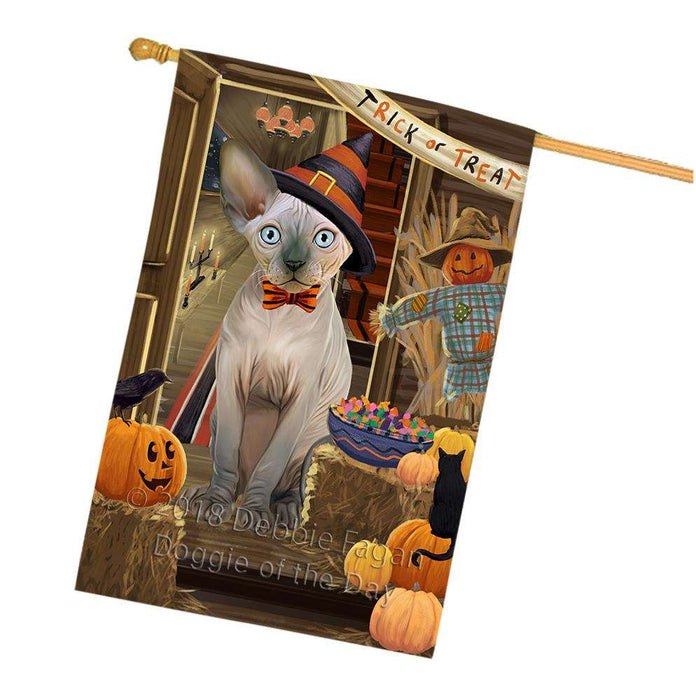 Enter at Own Risk Trick or Treat Halloween Sphynx Cat House Flag FLG53506