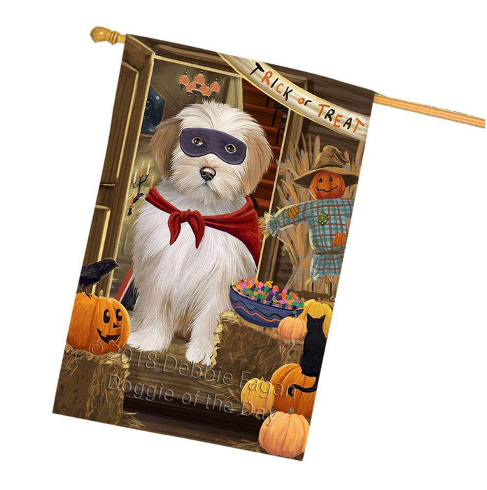 Enter at Own Risk Trick or Treat Halloween Tibetan Terrier Dog House Flag FLG53508