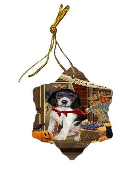 Enter at Own Risk Trick or Treat Halloween Treeing Walker Coonhound Dog Star Porcelain Ornament SPOR53306