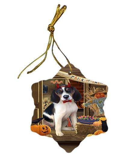 Enter at Own Risk Trick or Treat Halloween Treeing Walker Coonhound Dog Star Porcelain Ornament SPOR53308