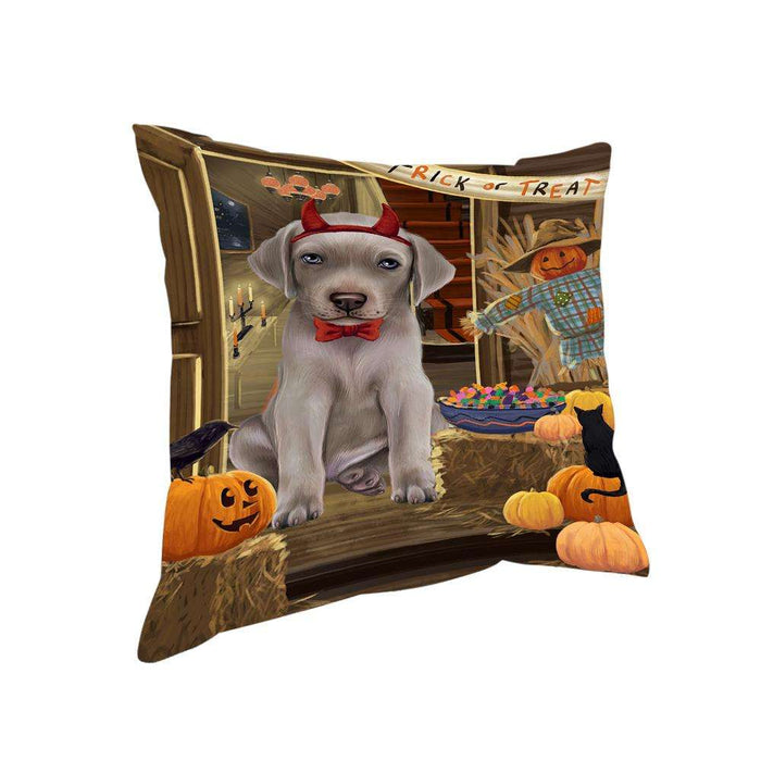 Enter at Own Risk Trick or Treat Halloween Weimaraner Dog Pillow PIL69952