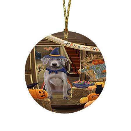 Enter at Own Risk Trick or Treat Halloween Weimaraner Dog Round Flat Christmas Ornament RFPOR53320