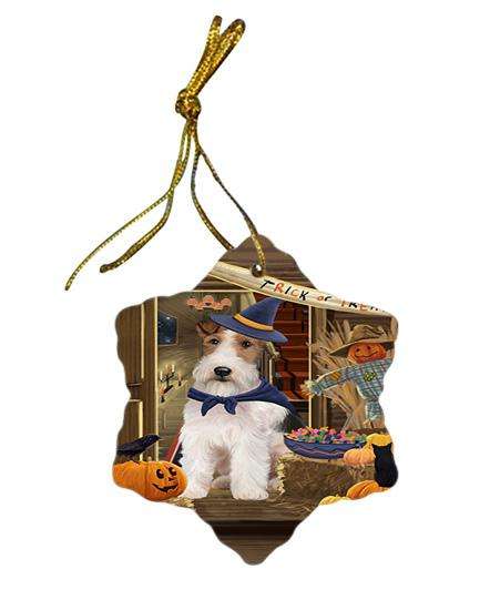 Enter at Own Risk Trick or Treat Halloween Wire Fox Terrier Dog Star Porcelain Ornament SPOR53335