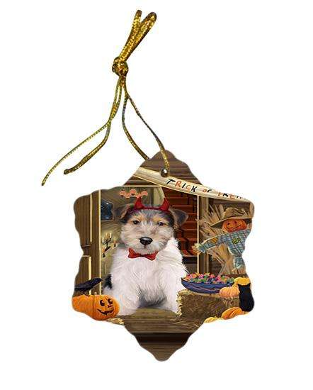 Enter at Own Risk Trick or Treat Halloween Wire Fox Terrier Dog Star Porcelain Ornament SPOR53338