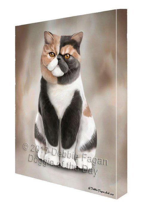 Exotic Shorthair Cat Canvas Wall Art