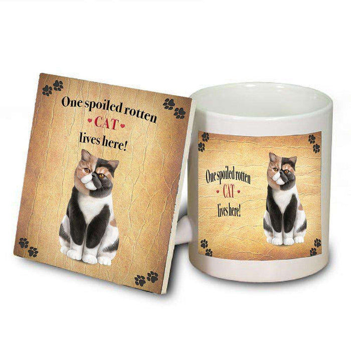 Exotic Shorthair Spoiled Rotten Cat Coaster and Mug Combo Gift Set