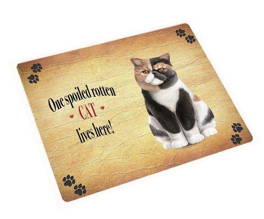 Exotic Shorthair Spoiled Rotten Cat Large Refrigerator / Dishwasher Magnet 11.5" x 17.6"