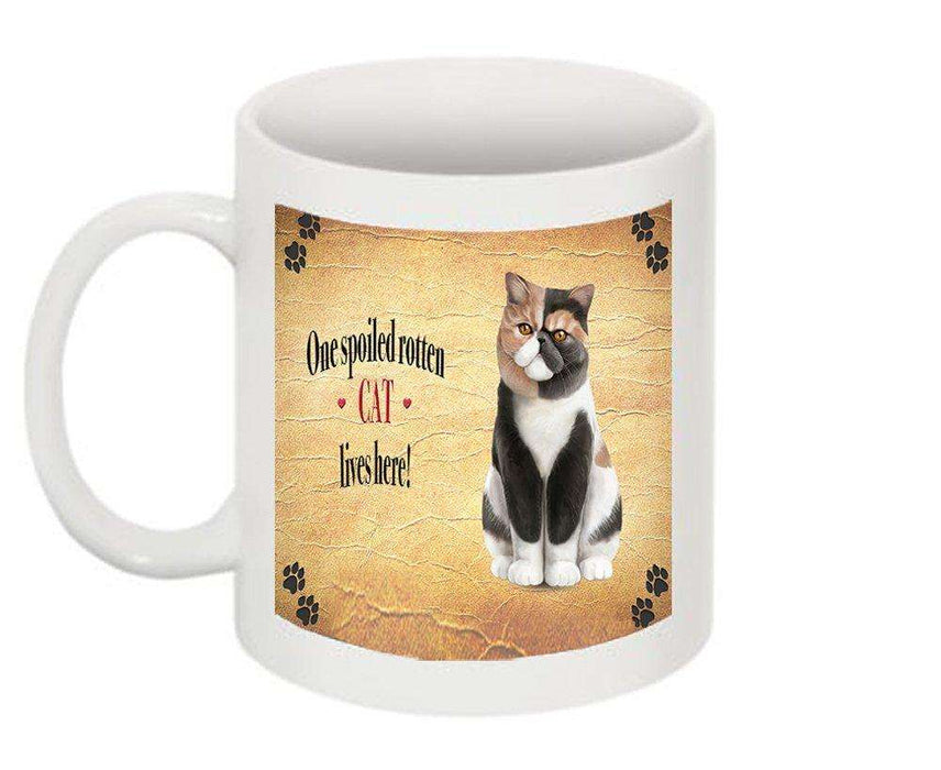 Exotic Shorthair Spoiled Rotten Cat Mug