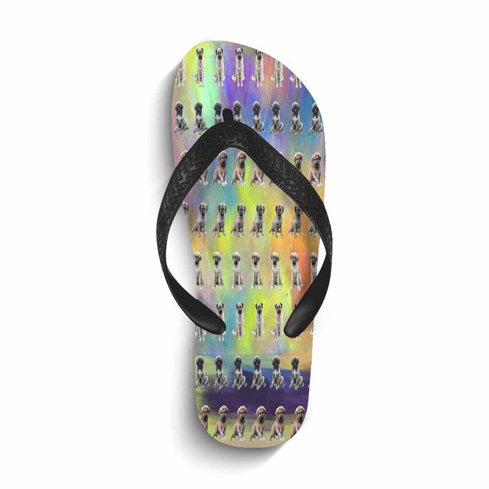 Flip Flops (For both Men and Women) (Model040)