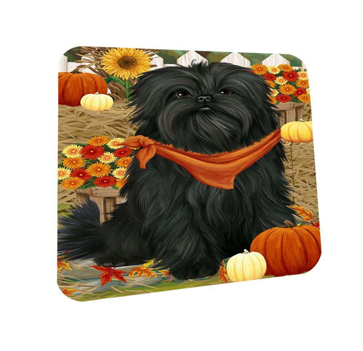 Fall Autumn Greeting Affenpinscher Dog with Pumpkins Coasters Set of 4 CST50602