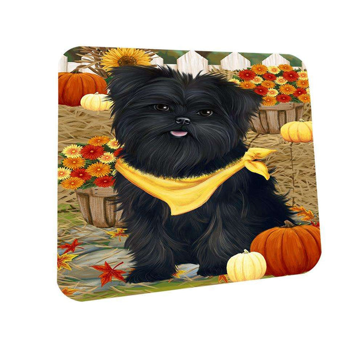Fall Autumn Greeting Affenpinscher Dog with Pumpkins Coasters Set of 4 CST50603