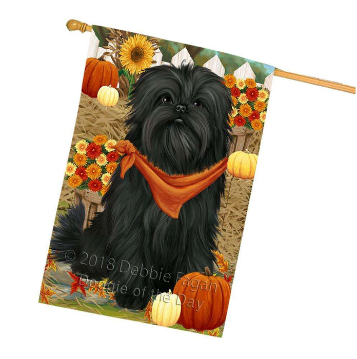 Fall Autumn Greeting Affenpinscher Dog with Pumpkins House Flag FLG50672