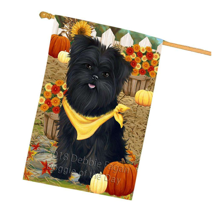 Fall Autumn Greeting Affenpinscher Dog with Pumpkins House Flag FLG50673