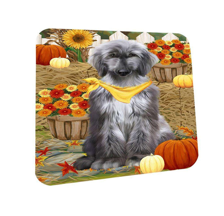 Fall Autumn Greeting Afghan Hound Dog with Pumpkins Coasters Set of 4 CST52251
