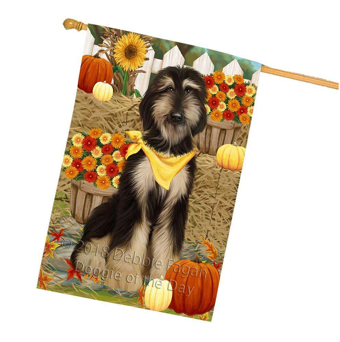 Fall Autumn Greeting Afghan Hound Dog with Pumpkins House Flag FLG52372