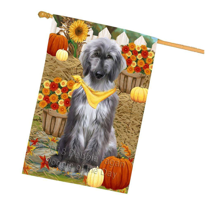 Fall Autumn Greeting Afghan Hound Dog with Pumpkins House Flag FLG52373