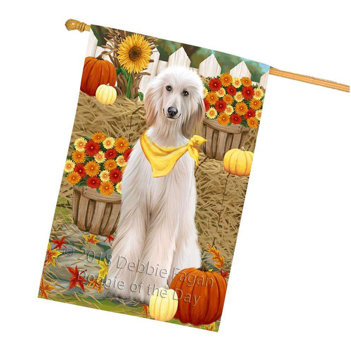 Fall Autumn Greeting Afghan Hound Dog with Pumpkins House Flag FLG52374