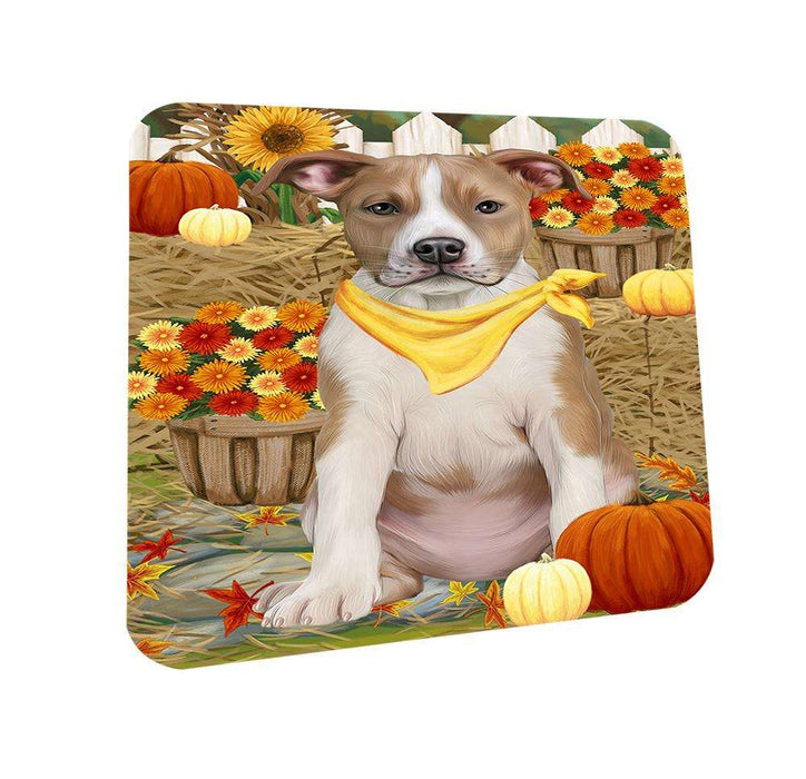 Fall Autumn Greeting American Staffordshire Terrier Dog with Pumpkins Coasters Set of 4 CST52256