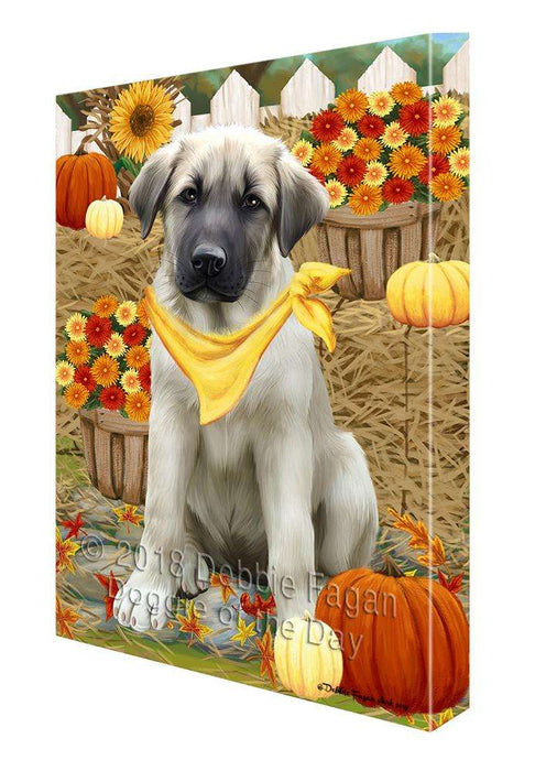 Fall Autumn Greeting Anatolian Shepherd Dog with Pumpkins Canvas Print Wall Art Décor CVS72215