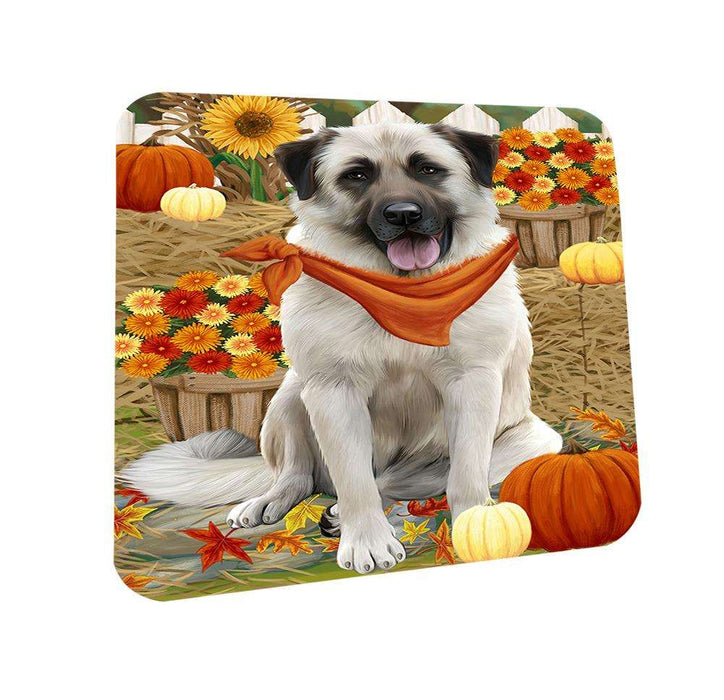 Fall Autumn Greeting Anatolian Shepherd Dog with Pumpkins Coasters Set of 4 CST50612