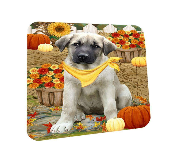 Fall Autumn Greeting Anatolian Shepherd Dog with Pumpkins Coasters Set of 4 CST50613