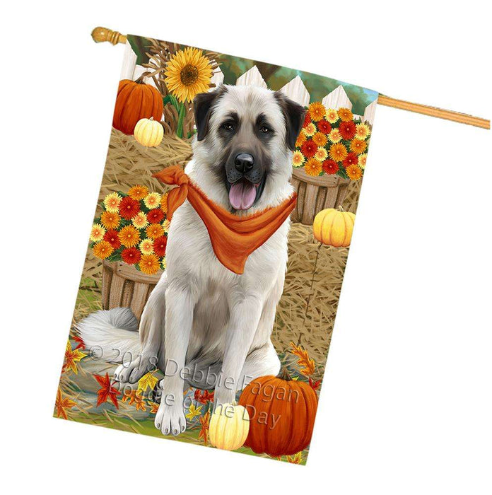 Fall Autumn Greeting Anatolian Shepherd Dog with Pumpkins House Flag FLG50682