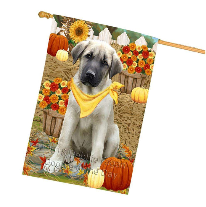 Fall Autumn Greeting Anatolian Shepherd Dog with Pumpkins House Flag FLG50683