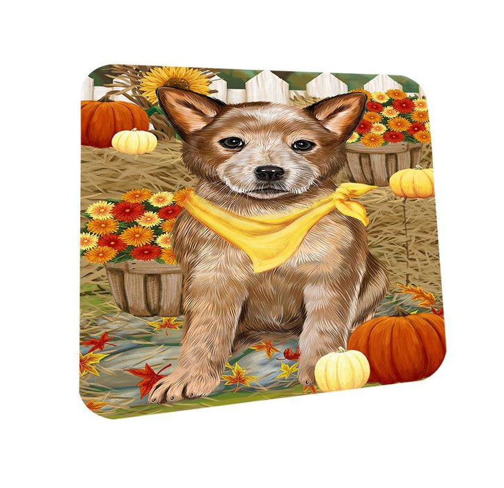 Fall Autumn Greeting Australian Cattle Dog with Pumpkins Coasters Set of 4 CST50615