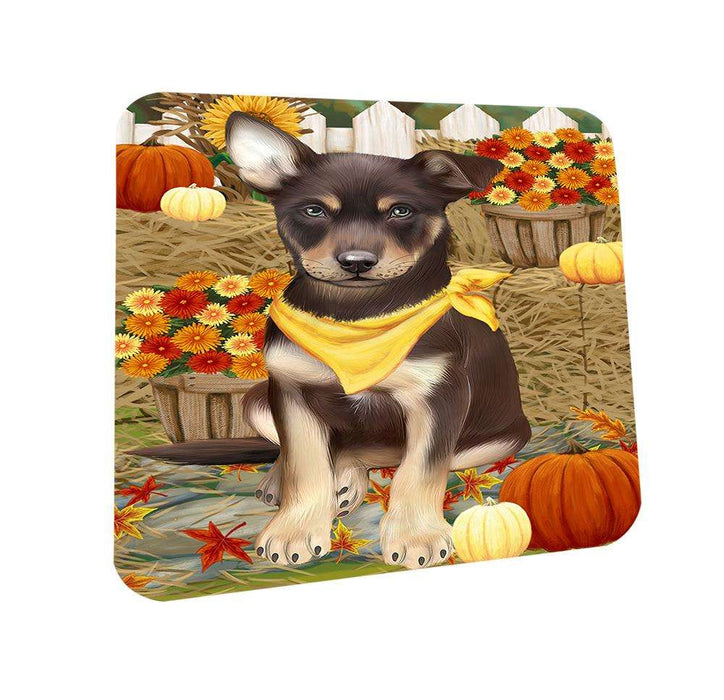Fall Autumn Greeting Australian Kelpie Dog with Pumpkins Coasters Set of 4 CST50619