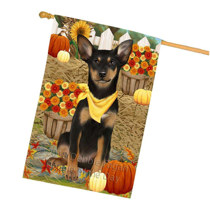 Fall Autumn Greeting Australian Kelpie Dog with Pumpkins House Flag FLG50688