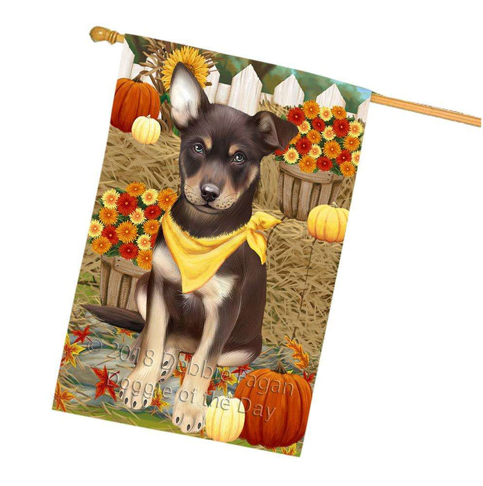 Fall Autumn Greeting Australian Kelpie Dog with Pumpkins House Flag FLG50689