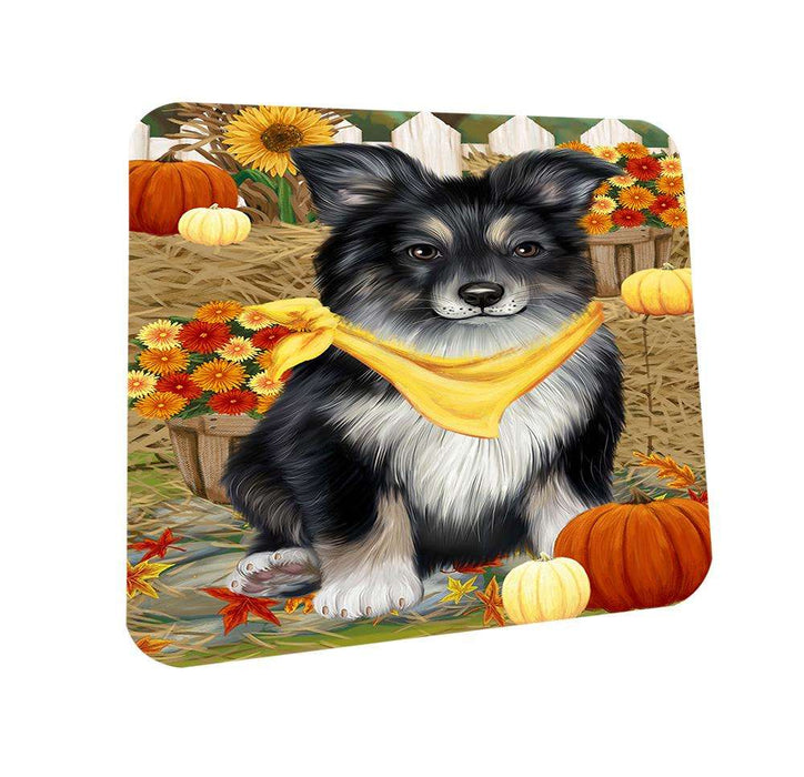 Fall Autumn Greeting Australian Shepherd Dog with Pumpkins Coasters Set of 4 CST50624