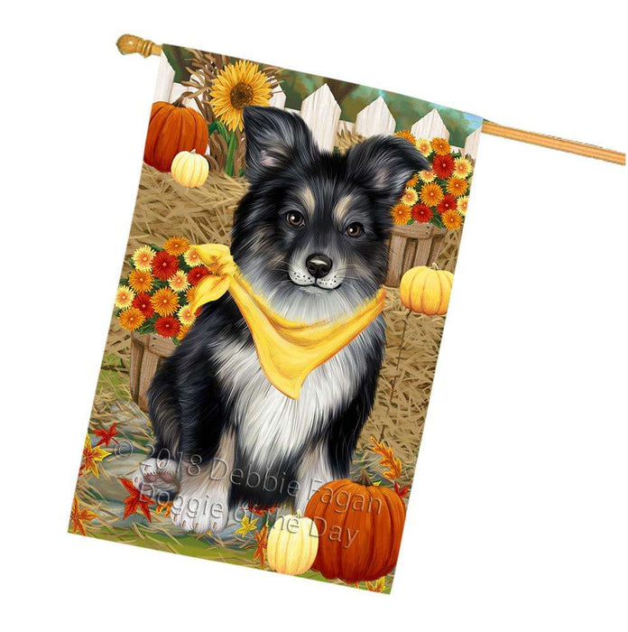 Fall Autumn Greeting Australian Shepherd Dog with Pumpkins House Flag FLG50694