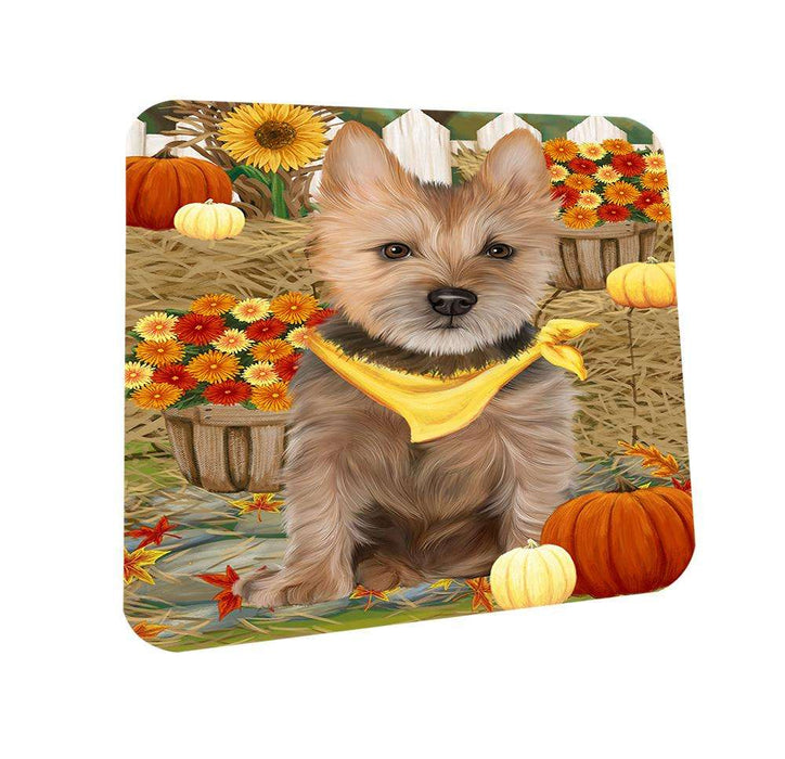 Fall Autumn Greeting Australian Terrier Dog with Pumpkins Coasters Set of 4 CST52262