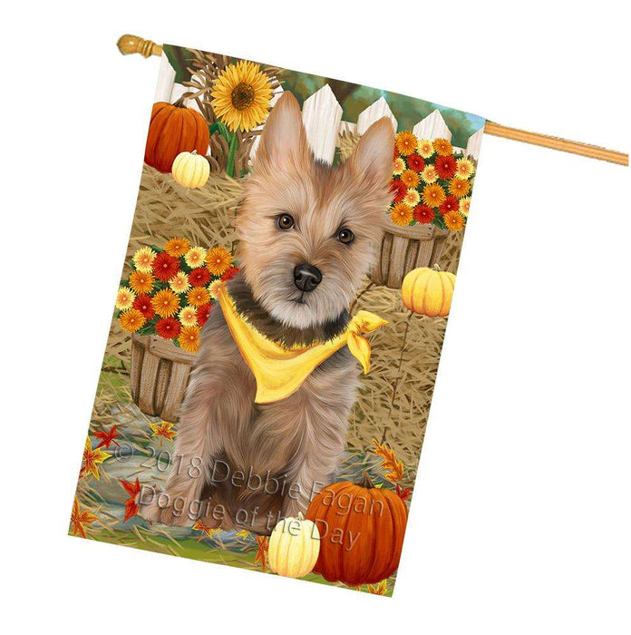 Fall Autumn Greeting Australian Terrier Dog with Pumpkins House Flag FLG52384