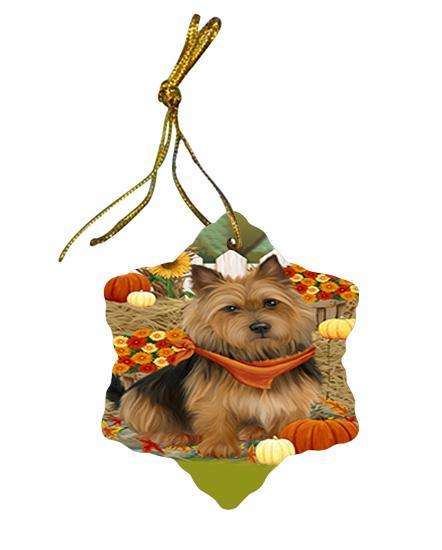 Fall Autumn Greeting Australian Terrier Dog with Pumpkins Star Porcelain Ornament SPOR52292