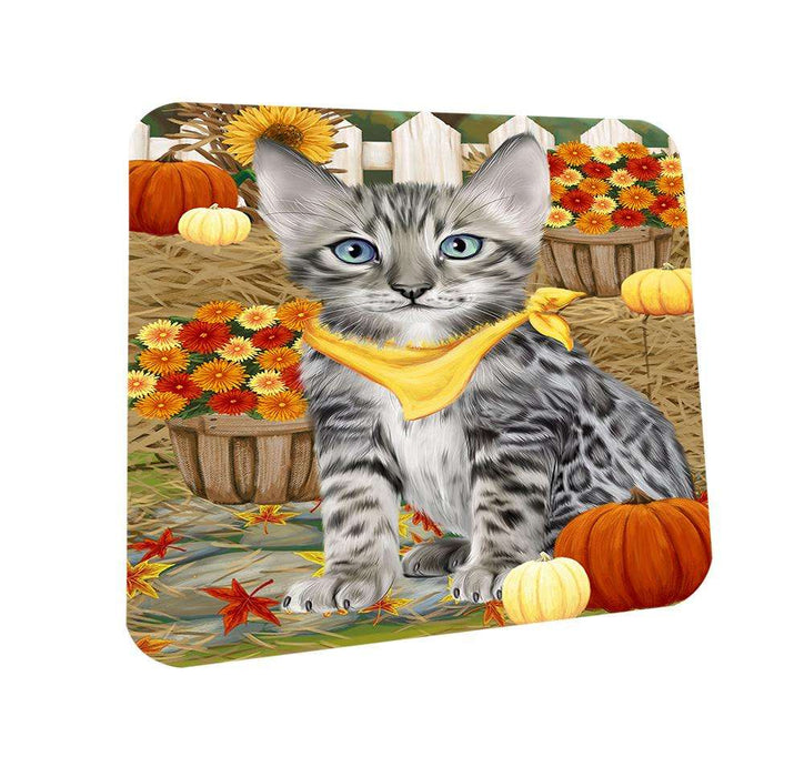 Fall Autumn Greeting Bengal Cat with Pumpkins Coasters Set of 4 CST52264