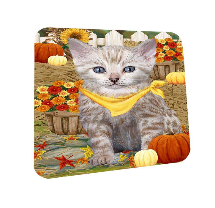 Fall Autumn Greeting Bengal Cat with Pumpkins Coasters Set of 4 CST52266