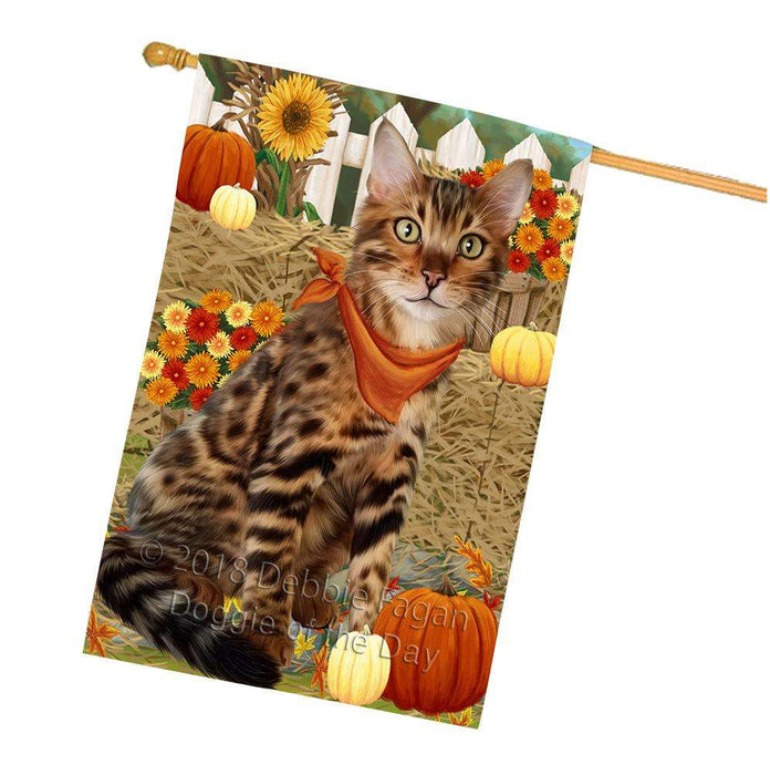 Fall Autumn Greeting Bengal Cat with Pumpkins House Flag FLG52385