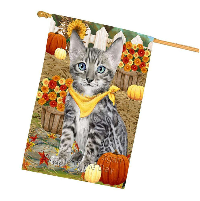 Fall Autumn Greeting Bengal Cat with Pumpkins House Flag FLG52386