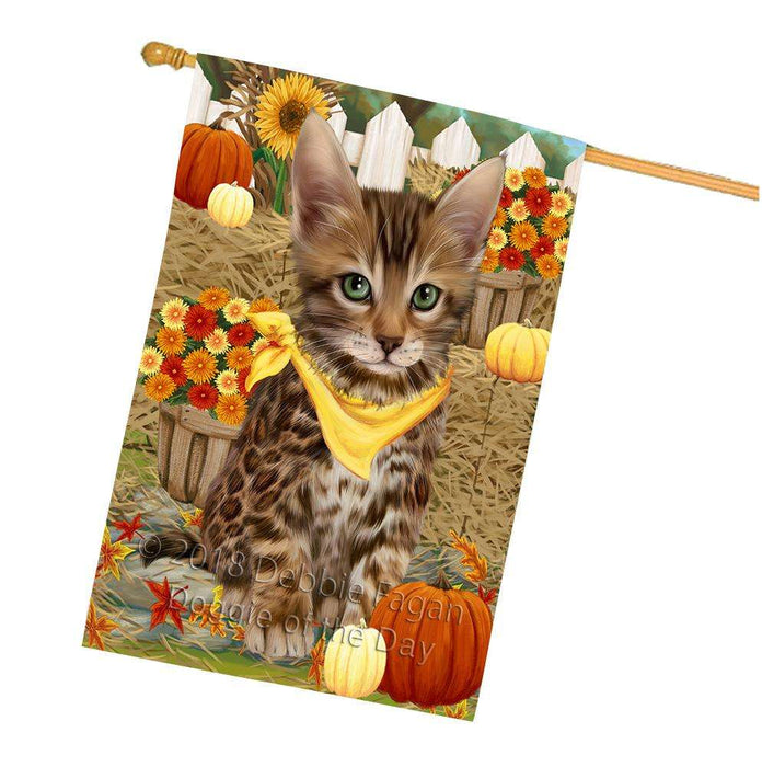 Fall Autumn Greeting Bengal Cat with Pumpkins House Flag FLG52387