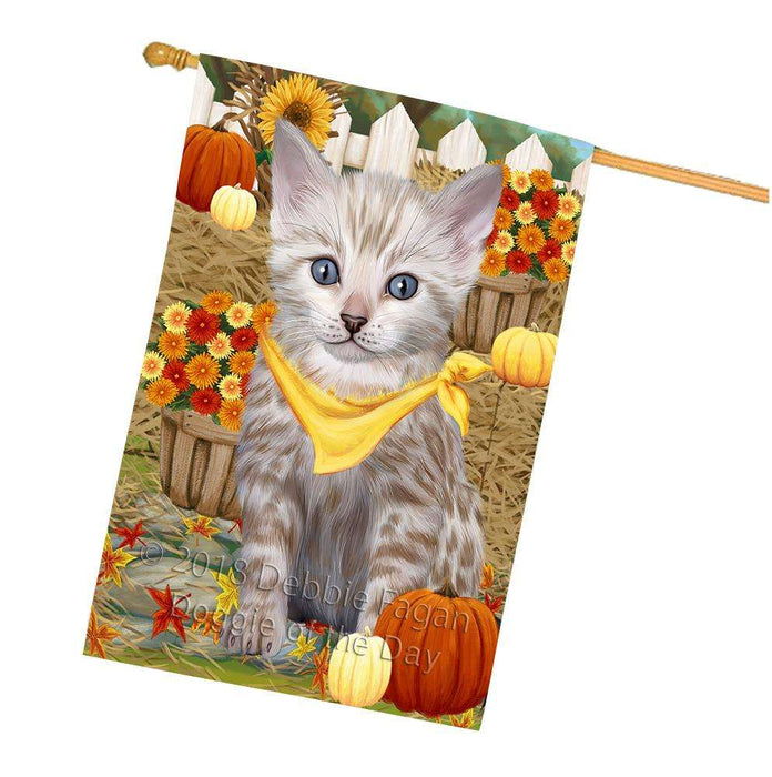 Fall Autumn Greeting Bengal Cat with Pumpkins House Flag FLG52388