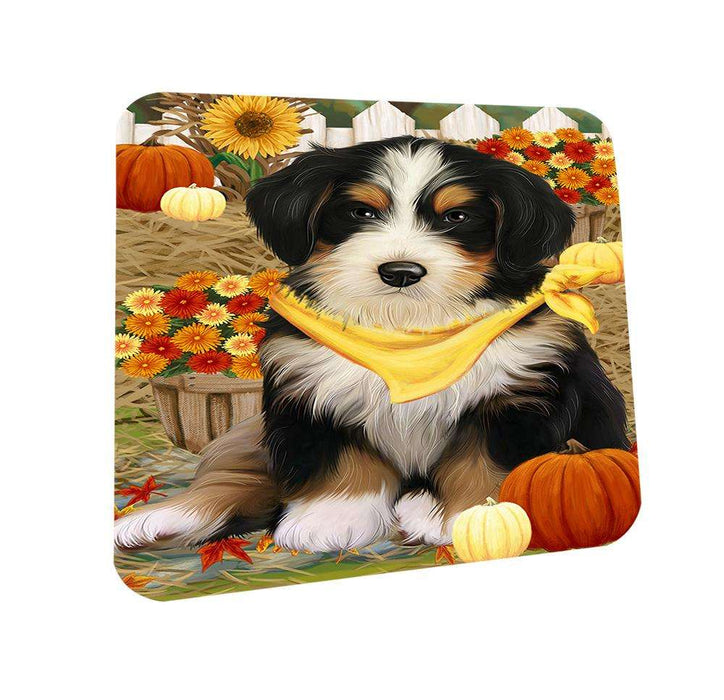Fall Autumn Greeting Bernedoodle Dog with Pumpkins Coasters Set of 4 CST50763